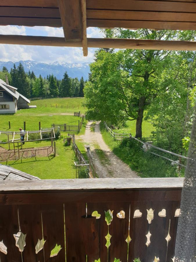 Mountain Apartment Uskovnica Bohinj Exteriör bild