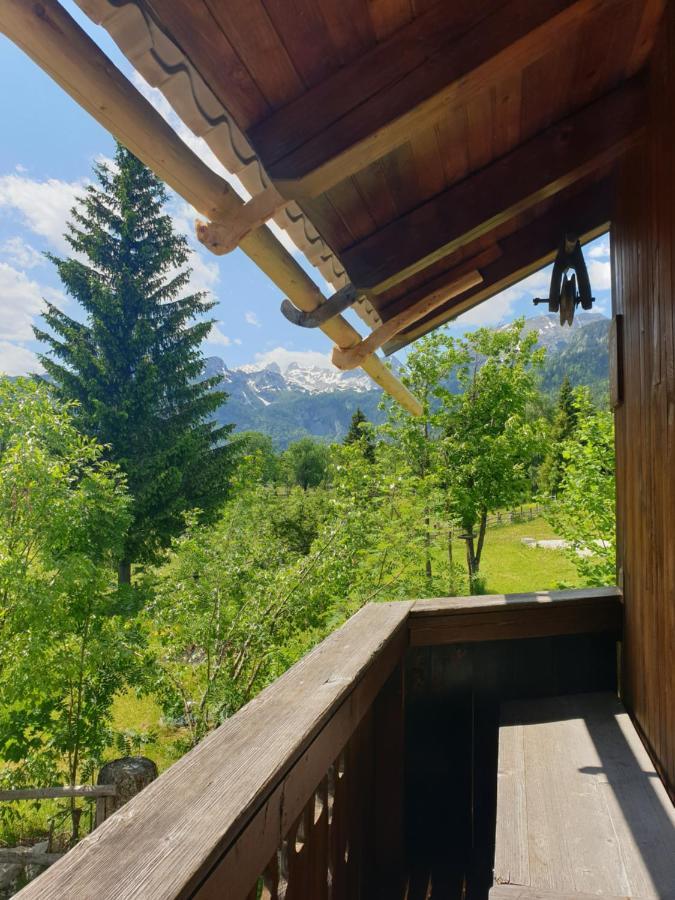 Mountain Apartment Uskovnica Bohinj Exteriör bild